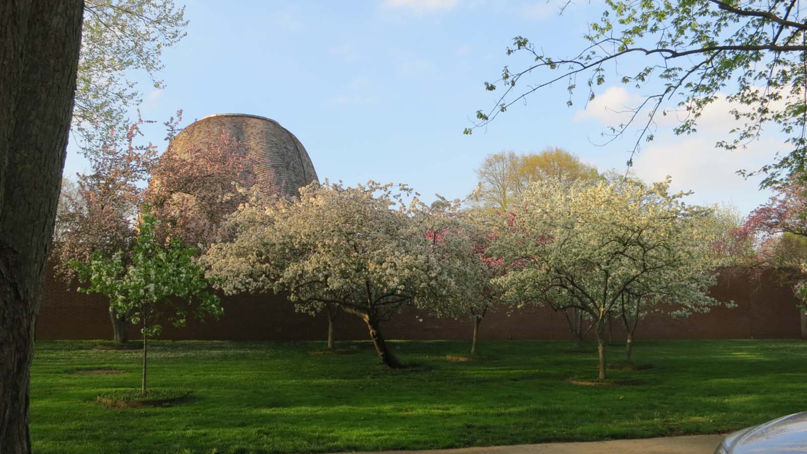 Roofless Church Garden
