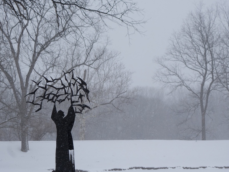 St. Francis and the Birds during winter